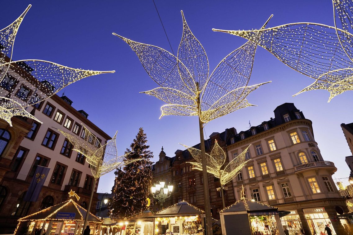 Blick auf Sternschnuppenmarkt mit beleuchteten Lilien