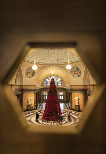 Blick auf den Weihnachtsbaum