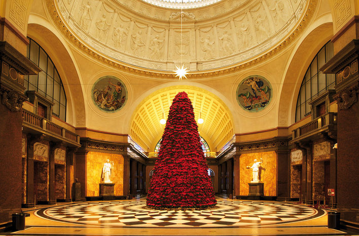 Blick auf den Weihnachtsbaum