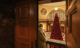 Blick auf den Kurhaus Weihnachtsbaum in Rot