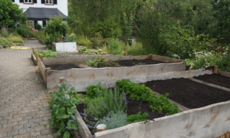 Blick in den Bauerngarten mit Beeten