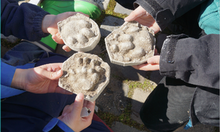 Kinder halten Tierabdrücke vor sich