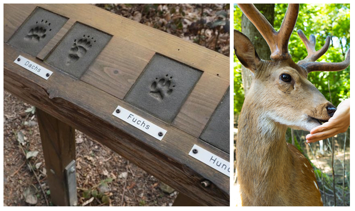 Erklär-Tafel