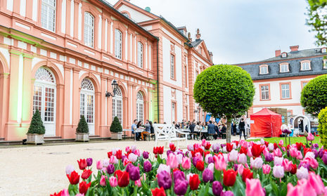 Schloss Biebrich von außen