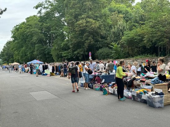 Flohmarkt in Biebrich