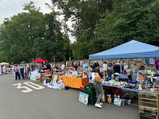 Flohmarkt in Biebrich