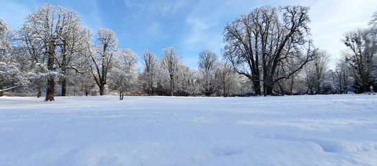 Winter im Kurpark
