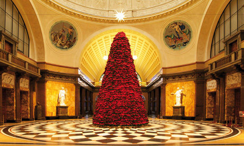 Der besondere Weihnachtsbaum im Kurhaus.