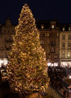 Weihnachtsbaum