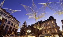 Rathaus, Lilien und Weihnachtsbaum auf dem Weihnachtsamarkt