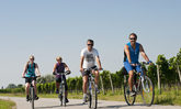 Radfahrer bei einer Radtour durch die Weinberge