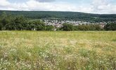 Wiesbadener Wiesenlandschaft