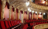 Blick in festliche Sitzreihen im Staatstheater